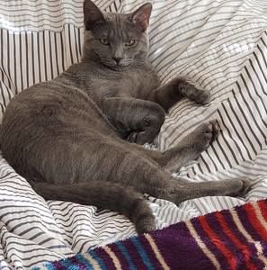 Meet your Posher, Aiga